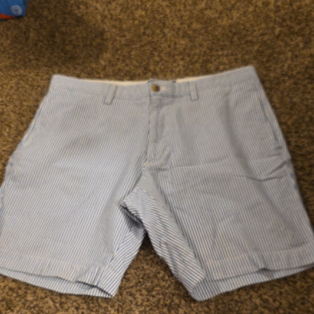 Chaps Blue and White Flat Front Shorts